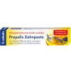 Zirkulin Propolis Zahnpas