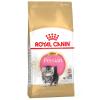 Royal Canin Persian Kitten - Sparpaket: 2 x 4 kg