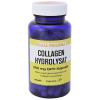 Gall Pharma Collagen Hydr...