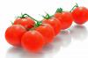 Tomaten - Cherryrispen