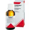 Cangust® spagyrische Peka...
