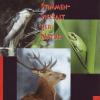 VARIOUS - Stimmenvielfalt...