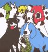 The Format - Dog Problems...