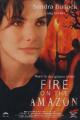 Fire on the Amazon - (DVD...