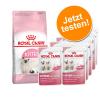 Royal Canin 400 g Kitten 