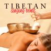 Various - Tibetan Singing Bowls - (CD)