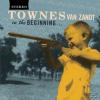 Townes Van Zt - In The Be