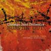Chicago Jazz Orchestra, C...