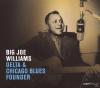 Big Joe Williams - Delta ...