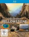 Yellowstone - Legendäre Wildnis - (Blu-ray)
