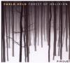 Pablo Held - Forest Of Ob