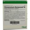 Cinnamomum Homaccord N Am...