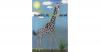 Adelheid, die Giraffe, di