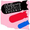 Phoenix - Wolfgang Amadeus Phoenix - (Vinyl)