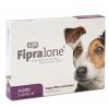 Fipralone® 67mg für klein