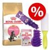 Royal Canin Kitten Breed Paket - Persian Kitten Pa