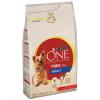 Purina ONE Mini Adult Rin