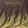 Various - Wellness Vol.2 - (DVD)