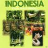 Various - Indonesien - (C