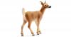 Schleich 14710 Wild Life:...