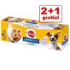 2 + 1 gratis! 3 x Pedigree Dentastix 2 x wöchentli