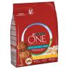 Purina ONE Medium/Maxi Hu...