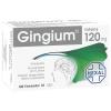 Gingium Intens 120 mg Fil