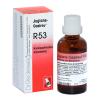 Juglans-Gastreu® R53 Trop