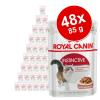 Sparpaket Royal Canin 48 x 85 g - Ultra Light in S