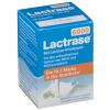 Lactrase® 6000 FCC Kapsel...