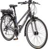 FISCHER BIKES Trekking-E-...