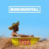 Rudimental - Toast to Our