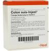 Colon SUIS Injeel Ampulle