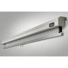 celexon Leinwand Rollo Professional 240 x 240 cm