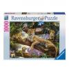 Ravensburger Puzzle Stolze Leopardenmutter 1000 Te