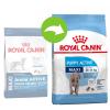 Royal Canin Maxi Puppy / Junior Active - Sparpaket