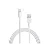 Apple Lightning auf USB K...