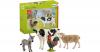 Schleich 42385 Farm World...