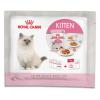 Royal Canin Kitten Probierpaket - 4 x 85 g (3 Sort