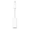 Apple Thunderbolt auf Gigabit Ethernet Adapter