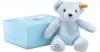 Teddybär in Geschenkbox, hellblau