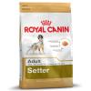 Royal Canin Setter Adult 