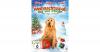 DVD Ein Weihnachtsspaß au...