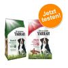 Mixpaket: 2 x Sorten Yarr...