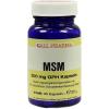 MSM 500 mg GPH Kapseln
