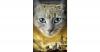 Warrior Cats - Zeichen de...