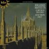 Corydon Singers, The Corydon Singers / Matthew Bes