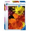 Ravensburger Premium Puzzle Flowers mit Softclick 