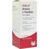 Arnica E Floribus W 5% Ol...