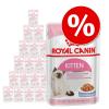 Royal Canin Kitten im Mixpaket - 24 x 85 g Gelee &